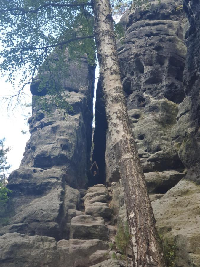 Fewo-Hierundjetzt Lichtenhain Bei Sebnitz Am Malerweg Lichtenhain (Sebnitz) Exterior foto